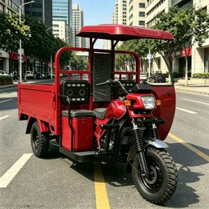 TR-1049086079235 Cargo Tricycle export product image — view 4