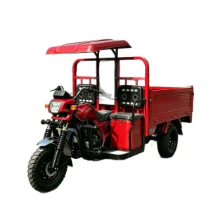 TR-1049086691074 Passenger Tricycle export product image — view 5
