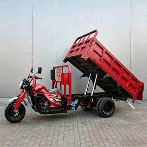 TR-1049130025963 Cargo Tricycle export product image