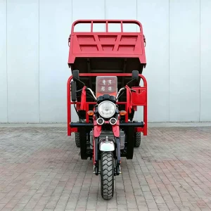 TR-1049130025963 Cargo Tricycle export product image — view 4