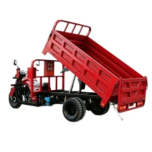 TR-1049130025963 Cargo Tricycle export product image — view 5