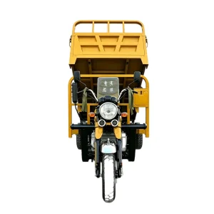 TR-1049176085449 Cargo Tricycle export product image — view 5