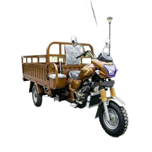 TR-1049283532959 Cargo Tricycle export product image — view 5