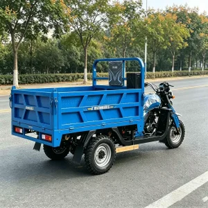 TR-1049348322473 Passenger Tricycle export product image — view 2