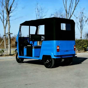 TR-1049352173652 Passenger Tricycle export product image — view 3
