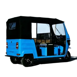 TR-1049352173652 Passenger Tricycle export product image — view 5