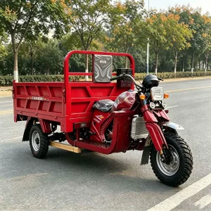 TR-1049373638751 Cargo Tricycle export product image — view 2