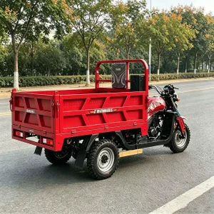 TR-1049373638751 Cargo Tricycle export product image — view 3