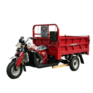TR-1049373638751 Cargo Tricycle export product image — view 5