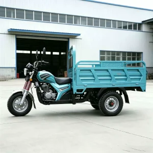TR-1049397596020 Cargo Tricycle export product image — view 2