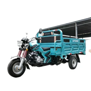 TR-1049397596020 Cargo Tricycle export product image — view 5