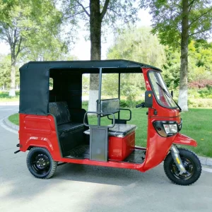 TR-1049442425809 Passenger Tricycle export product image