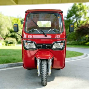 TR-1049442425809 Passenger Tricycle export product image — view 2