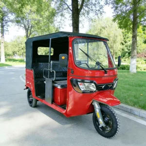 TR-1049442425809 Passenger Tricycle export product image — view 3