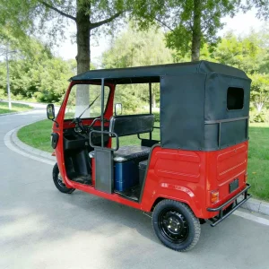 TR-1049442425809 Passenger Tricycle export product image — view 4