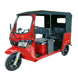 TR-1049442425809 Passenger Tricycle export product image — view 5