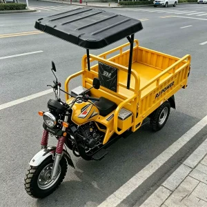 TR-1049694537229 Cargo Tricycle export product image