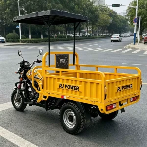 TR-1049694537229 Cargo Tricycle export product image — view 3