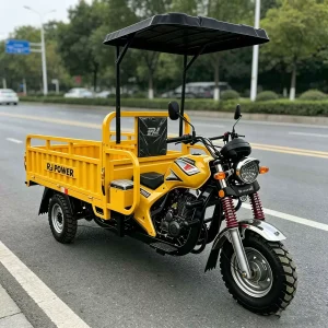 TR-1049694537229 Cargo Tricycle export product image — view 4